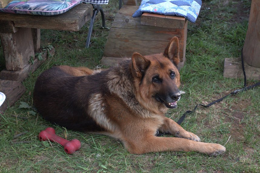 Eberhardt feierte 65. Geburtstag 