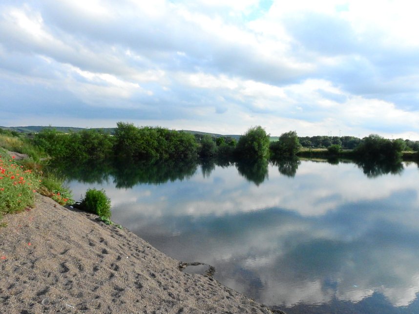 Farbenpracht an den Bielener Kiesgew&auml;ssern