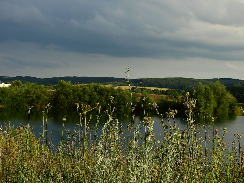 Farbenpracht an den Bielener Kiesgew&auml;ssern