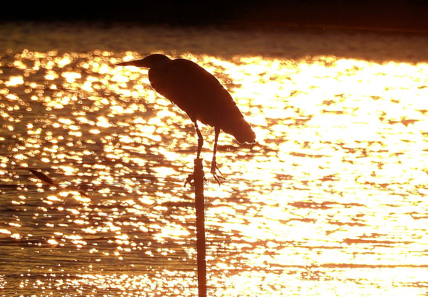 Abendimpressionen aus Auleben