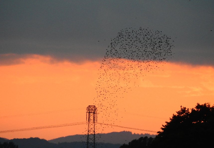 Abendimpressionen aus Auleben