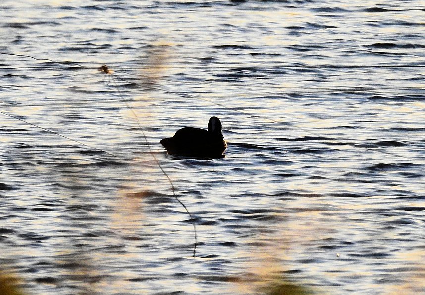 Abendimpressionen aus Auleben