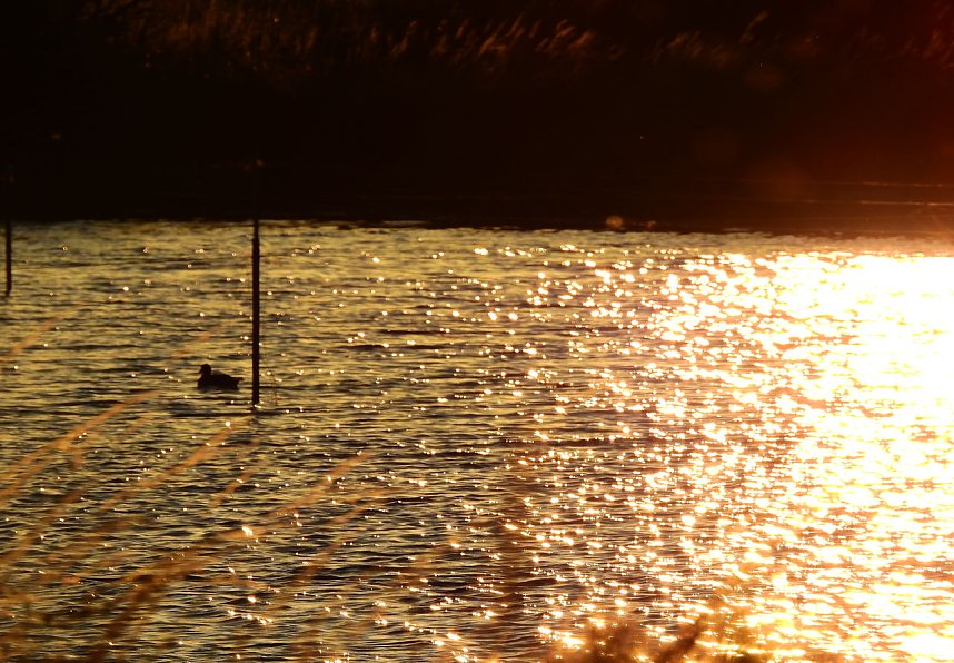 Abendimpressionen aus Auleben