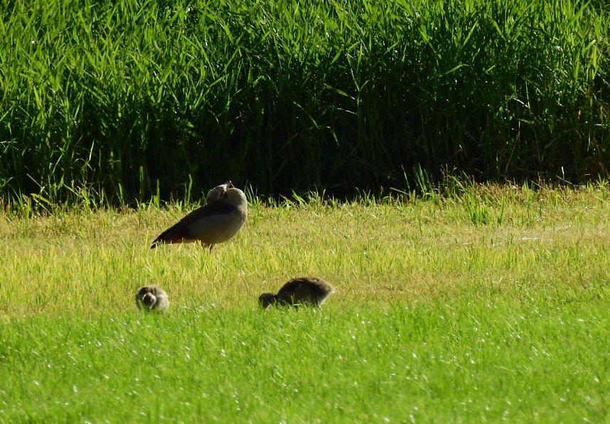 Besuch in der Heimat