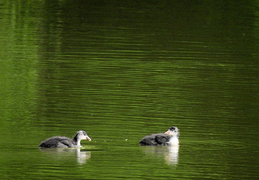 Besuch in der Heimat