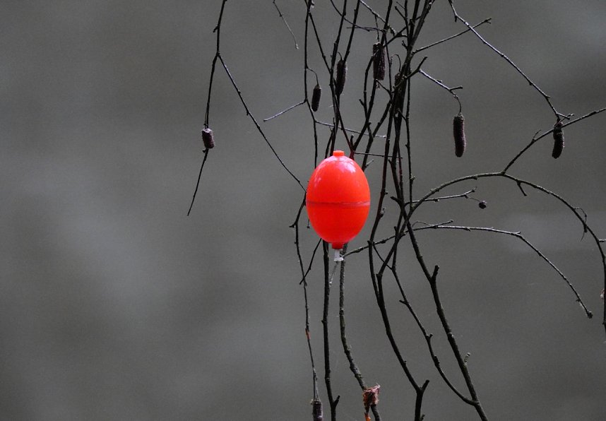 Besuch in der Heimat