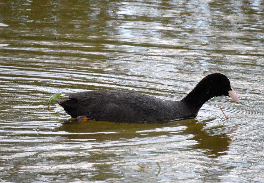 Besuch in der Heimat