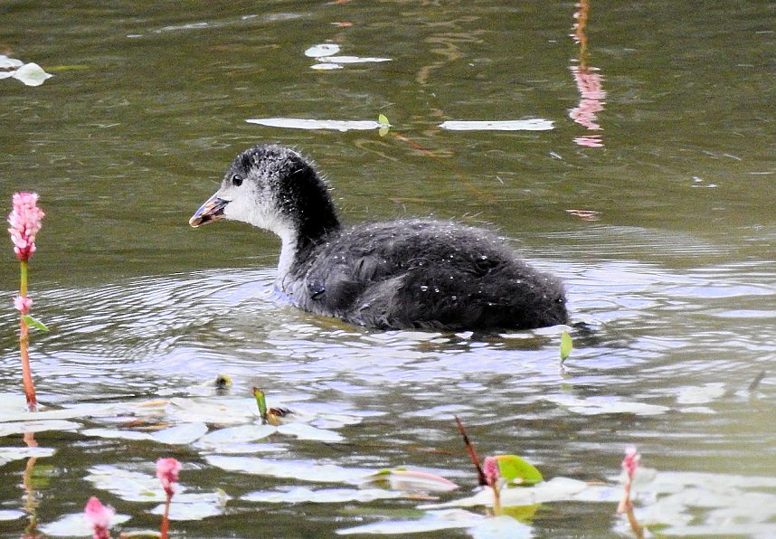 Besuch in der Heimat