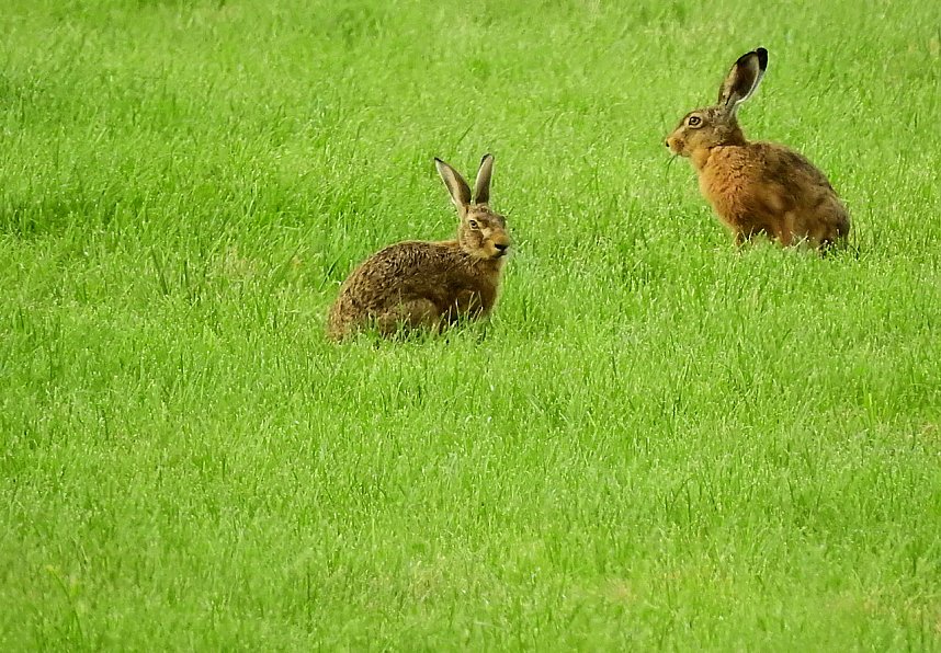 Besuch in der Heimat
