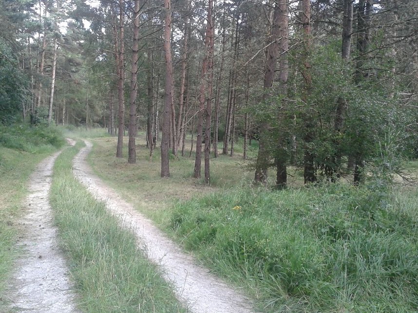 BUND-Kreisverband mit 40. Einsatz