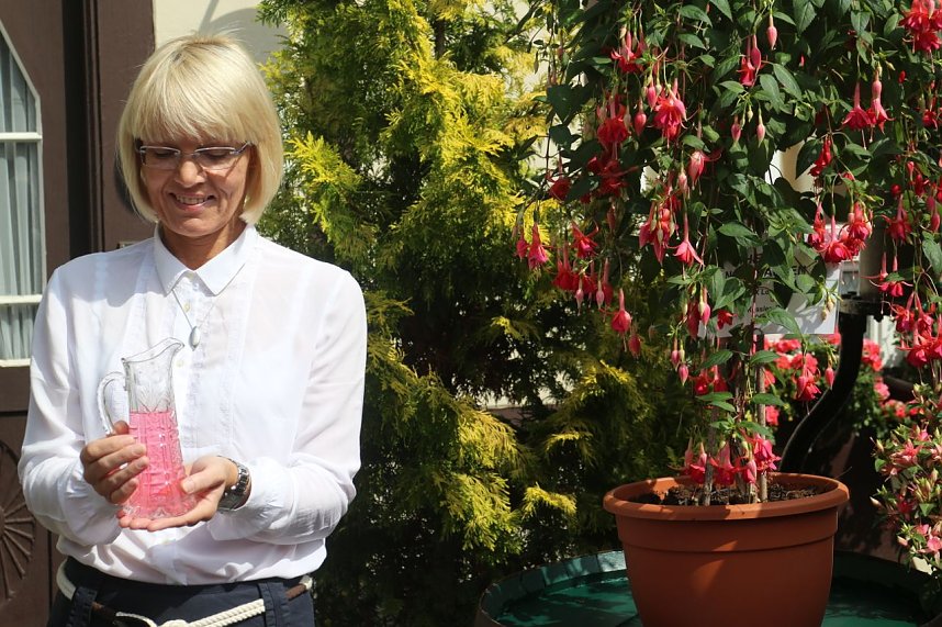 4. Fuchsienschau in der Nordh&auml;user Traditionsbrennerei