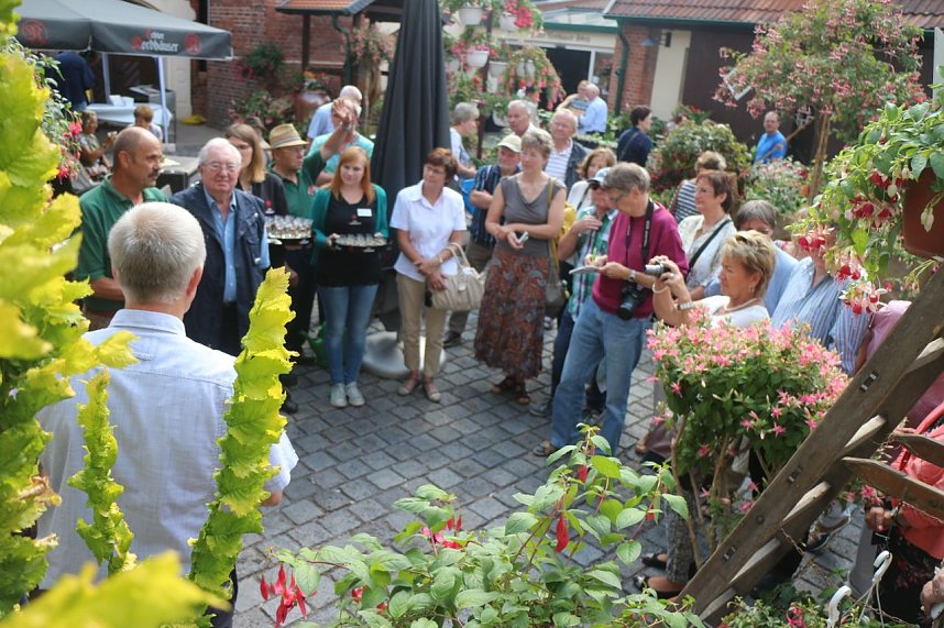 4. Fuchsienschau in der Nordh&auml;user Traditionsbrennerei