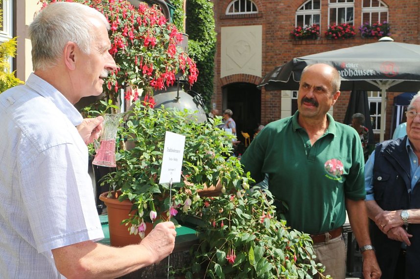 4. Fuchsienschau in der Nordh&auml;user Traditionsbrennerei