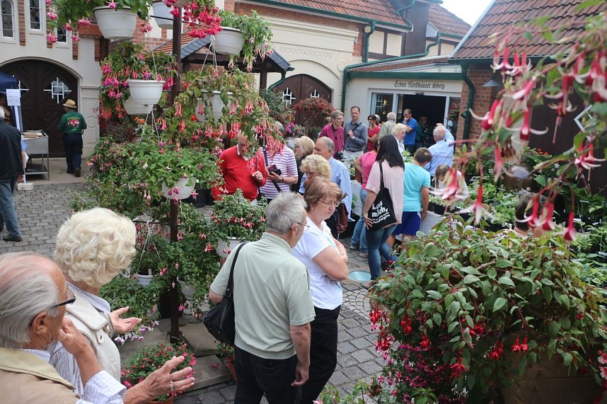 4. Fuchsienschau in der Nordh&auml;user Traditionsbrennerei