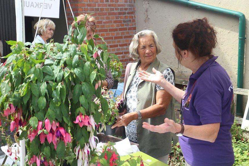 4. Fuchsienschau in der Nordh&auml;user Traditionsbrennerei