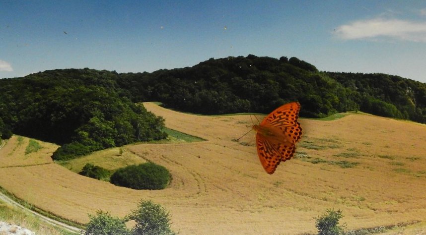 Peter Blei unterwegs - diesmal in der freien Natur und im Jugendwaldheim Rathsfeld