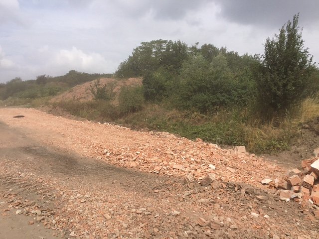 Besichtigung der Halde