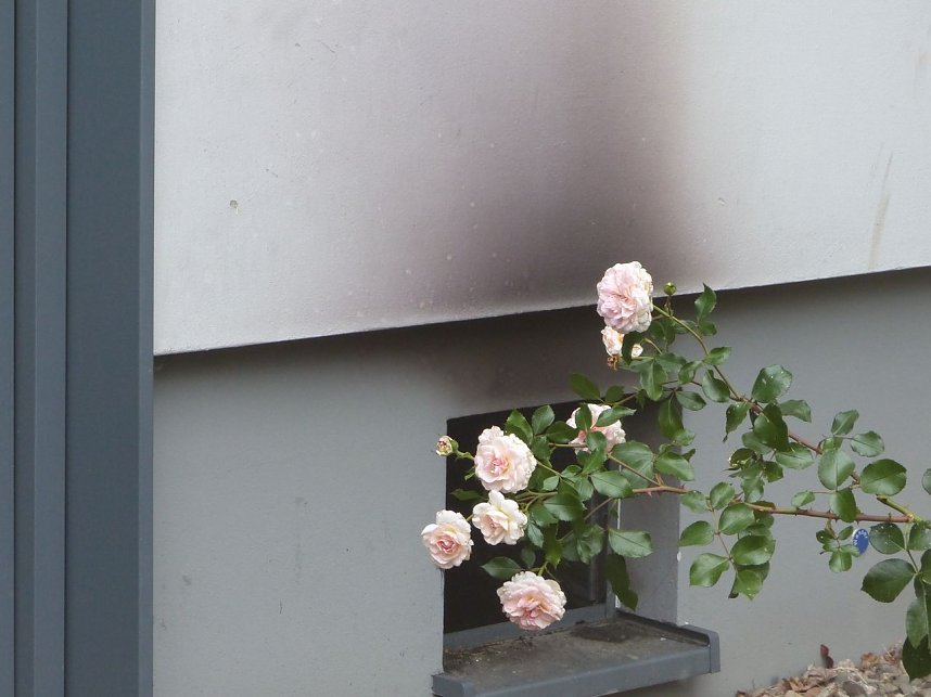 Kellerbrand in Nordhausen