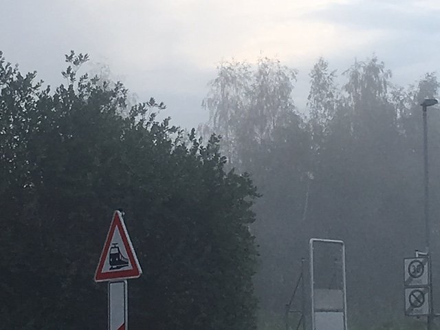 Anwohner und Nachbarn werden durch die Staubentwicklung belastet.