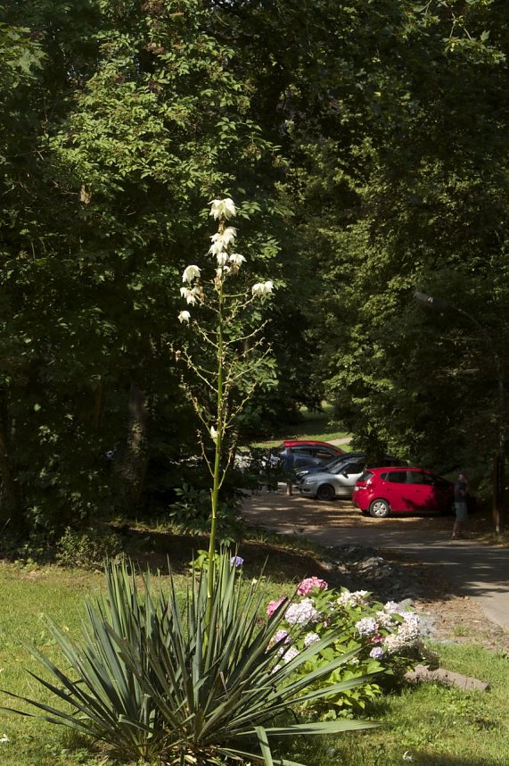Offene G&auml;rten im Landkreis Nordhausen