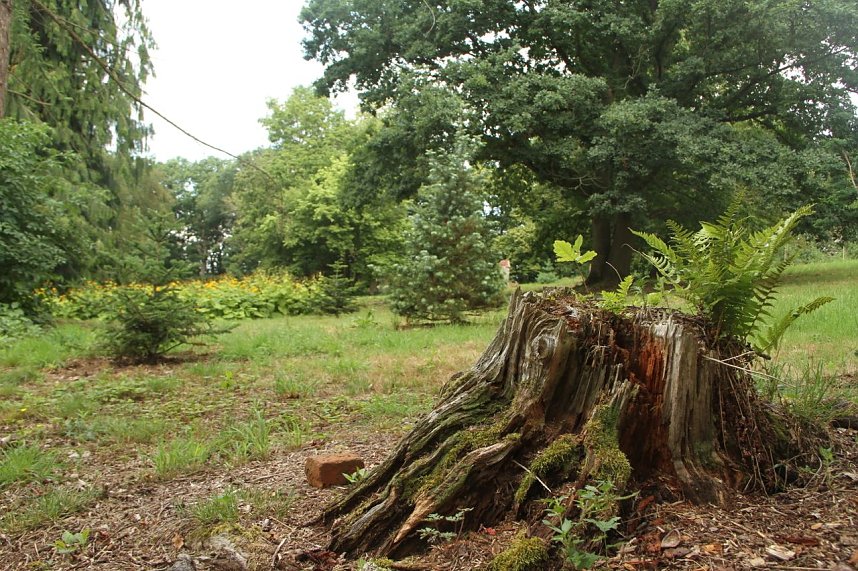 Offene G&auml;rten im Landkreis Nordhausen