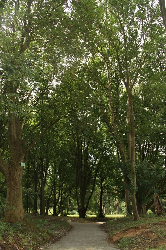 Offene G&auml;rten im Landkreis Nordhausen