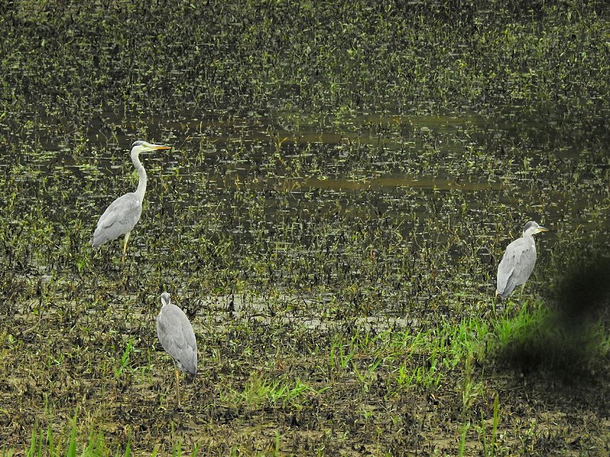 Peter Blei unterwegs an der Talsperre Wippra