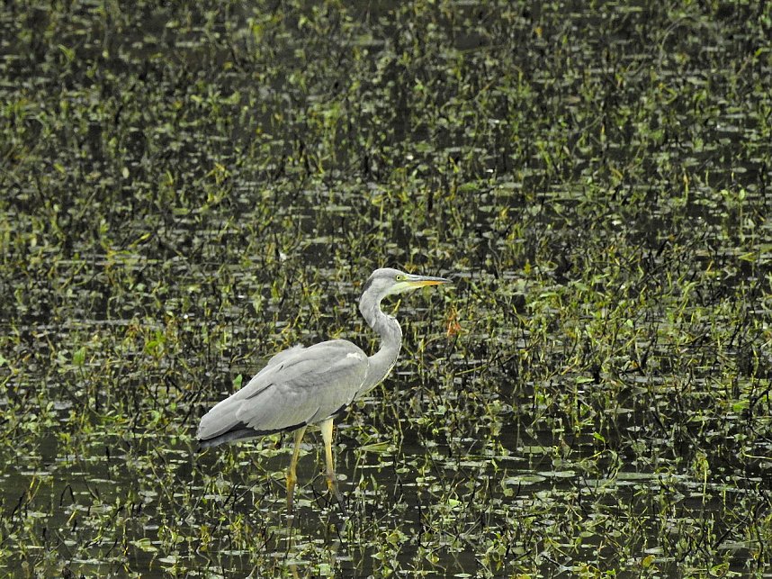 Peter Blei unterwegs an der Talsperre Wippra