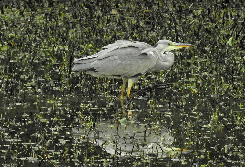 Peter Blei unterwegs an der Talsperre Wippra