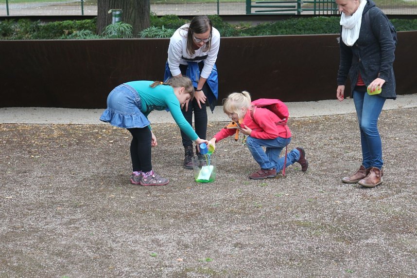 Familienfreizeit der Rothleimm&uuml;hle - Expedition zu den Treppenk&auml;fern
