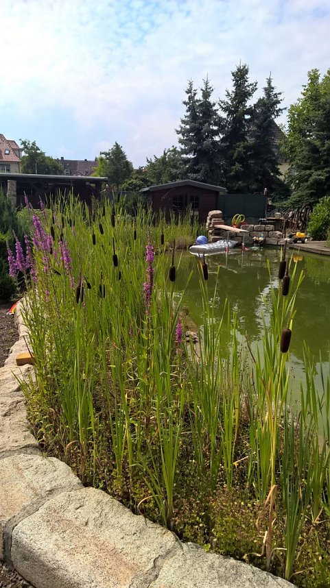 Tag der offenen G&auml;rten im Landkreis Nordhausen