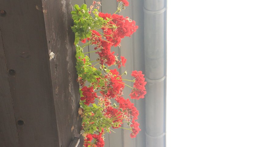 Tabaluga zu Besuch im Jugendg&auml;stehaus Rothleimm&uuml;hle