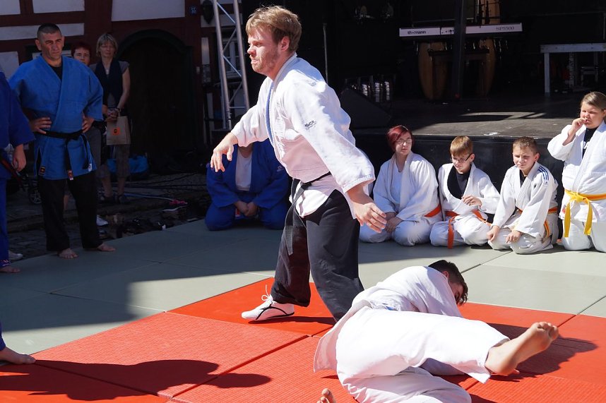 Altstadtfest 2016 - der Sonntag