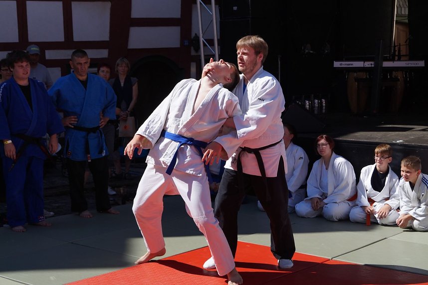 Altstadtfest 2016 - der Sonntag