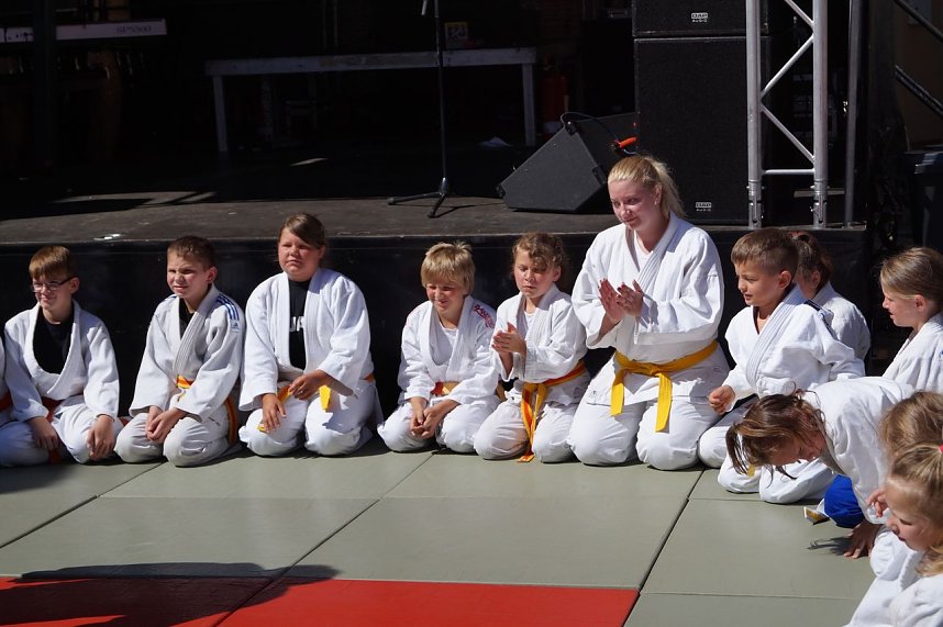 Altstadtfest 2016 - der Sonntag