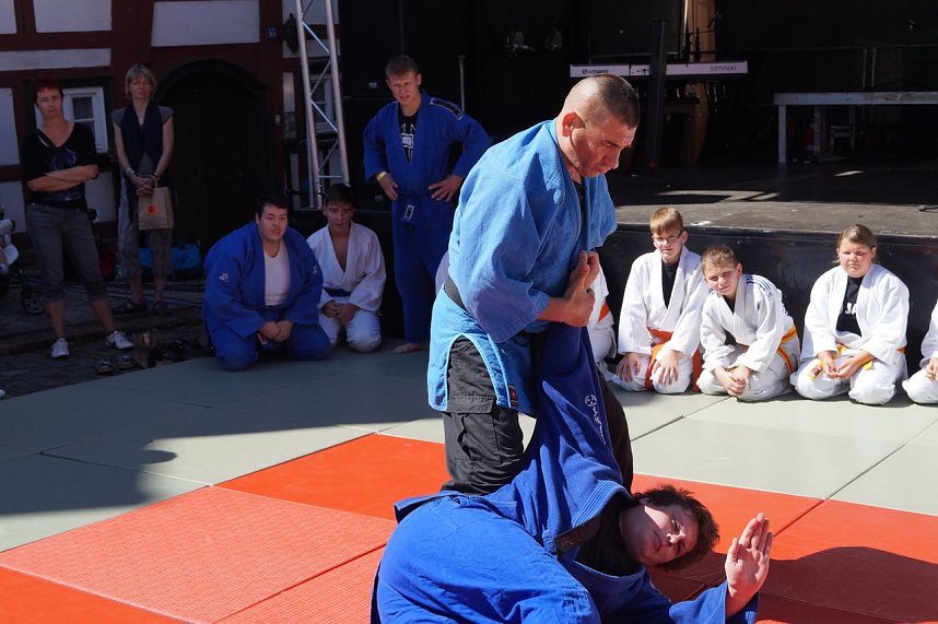 Altstadtfest 2016 - der Sonntag