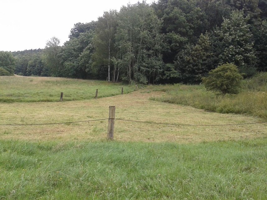 BUND pflegt Flachmoor