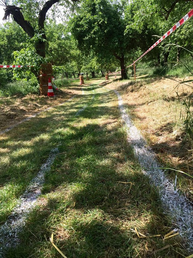 Erstes Seifenkistenrennen im vergangenen Jahr