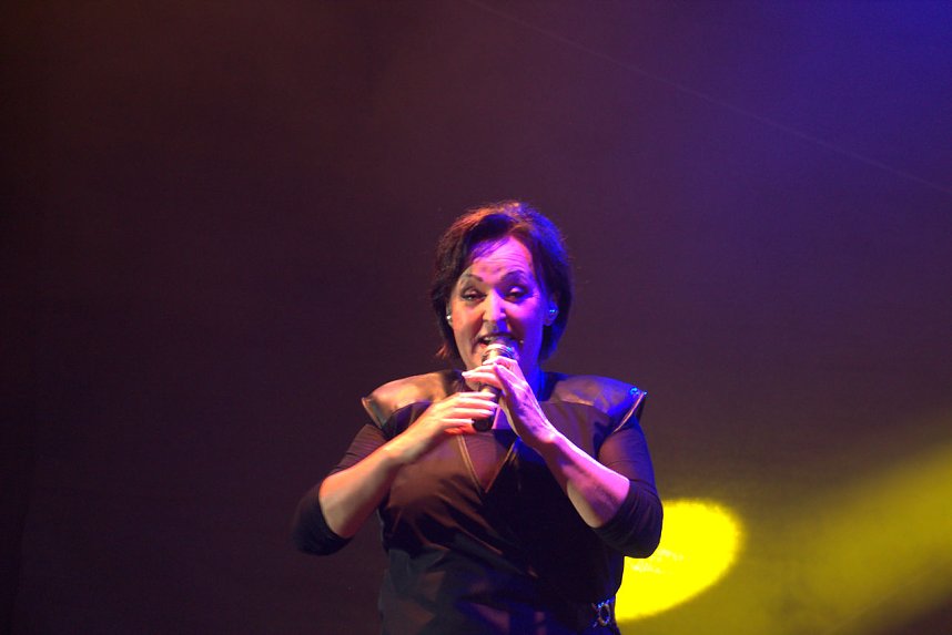 Gildefest in Quedlinburg