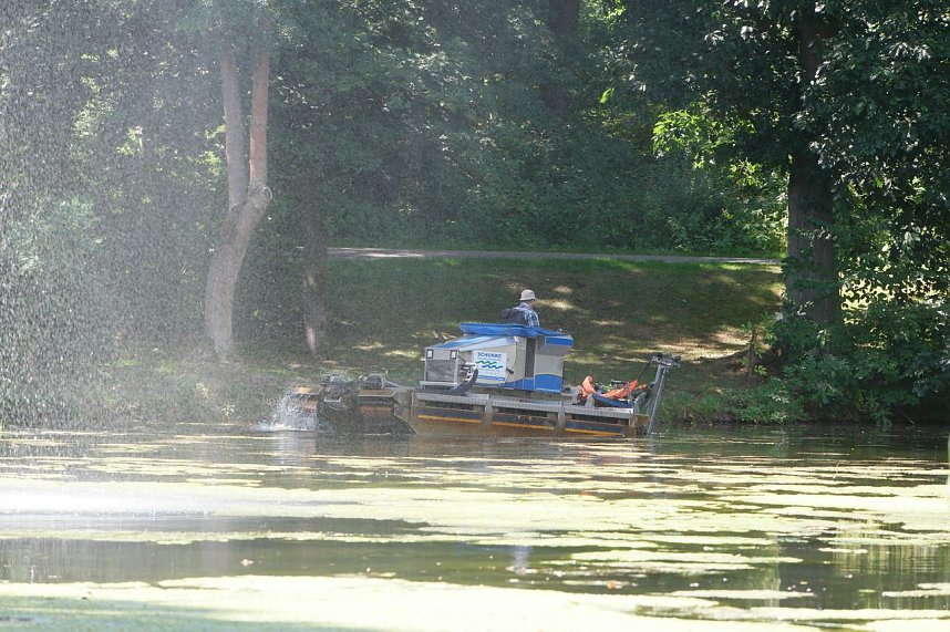 Der Gondelteich wird gem&auml;ht