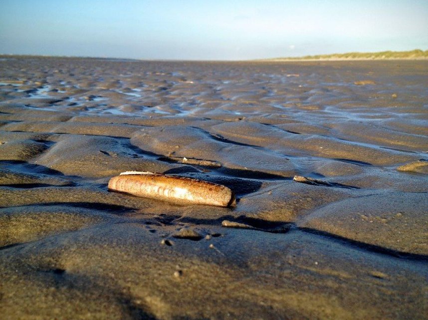 Unterwegs auf Ameland