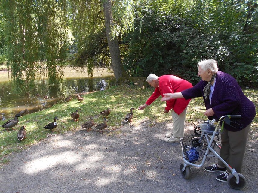 Heimbewohner waren unterwegs