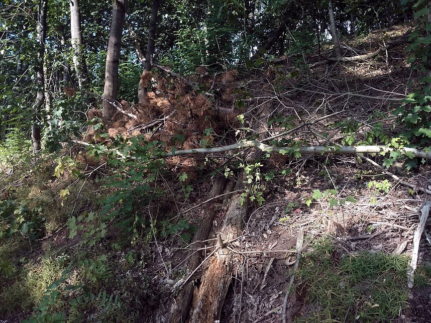 Am Nordh&auml;user Kuhberg