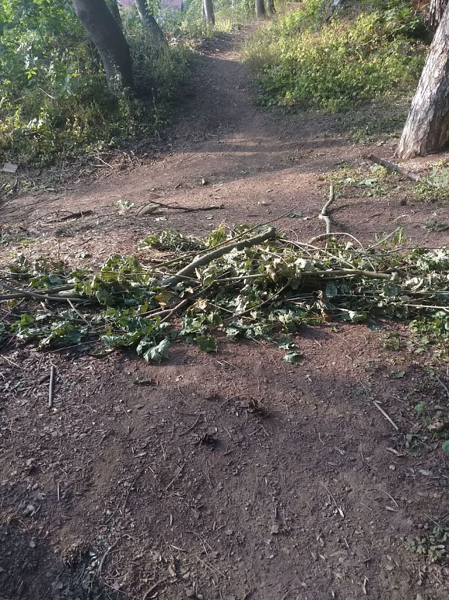 Am Nordh&auml;user Kuhberg