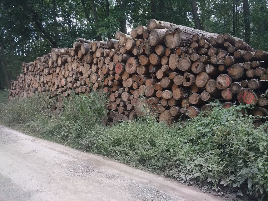 Am Nordh&auml;user Kuhberg