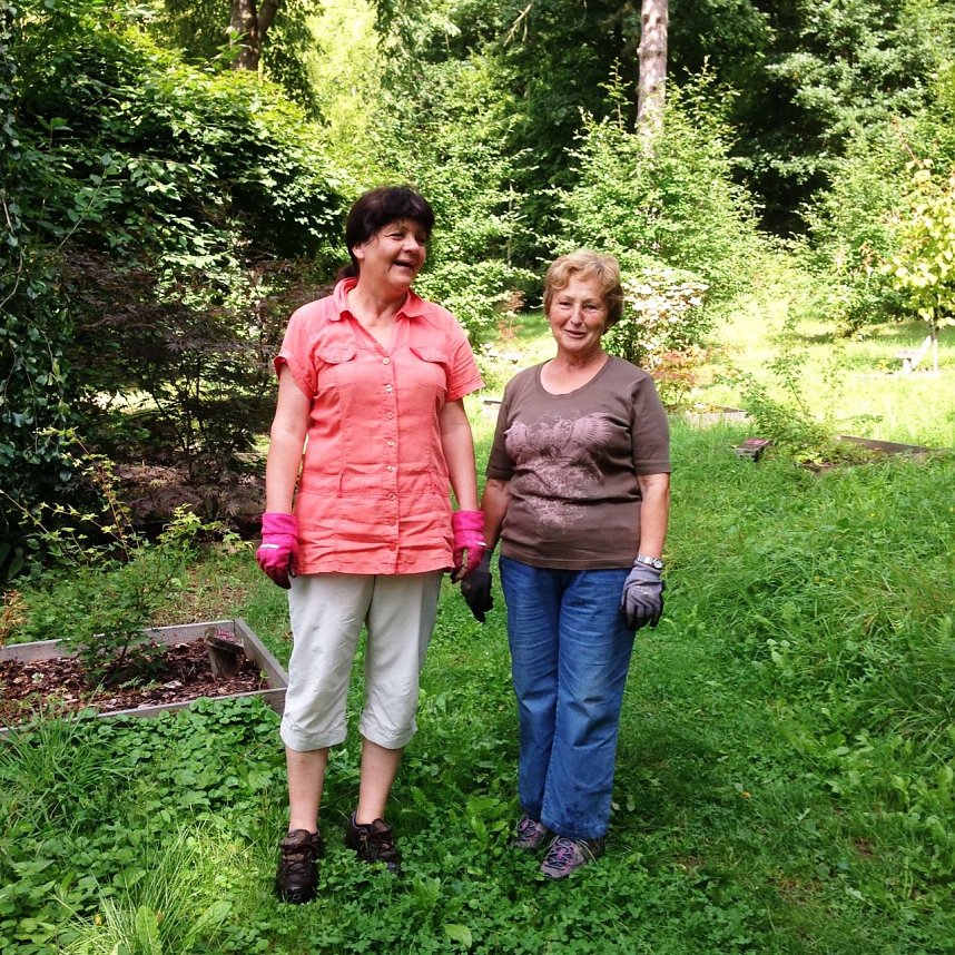 Ordentlich angepackt - acht Mitglieder des Ahornparkvereins schafften den alten Baumriesen aus dem Weg