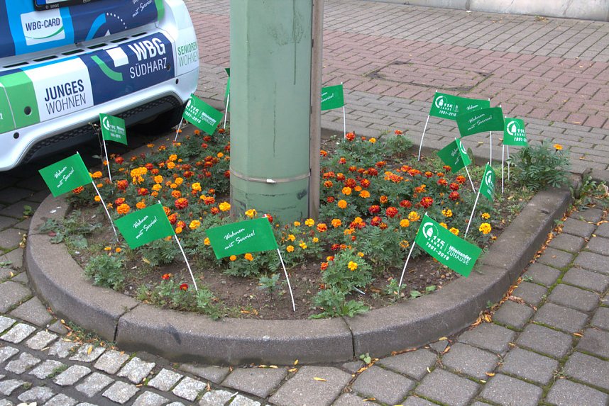 Triathlon in Nordhausen