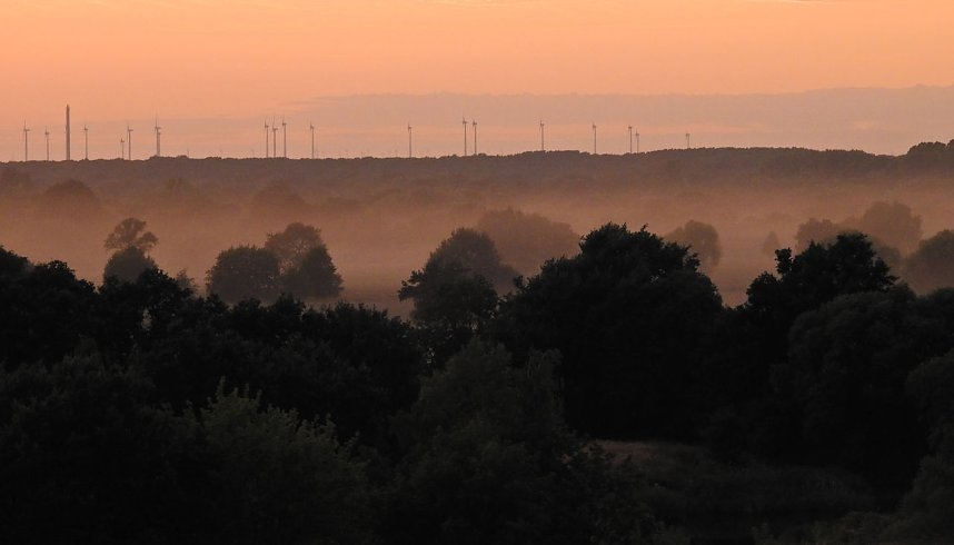 Spinnen im Mondschein am Goitzsche See