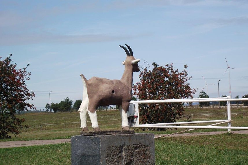 Ein Besuch auf der Forst-Farm