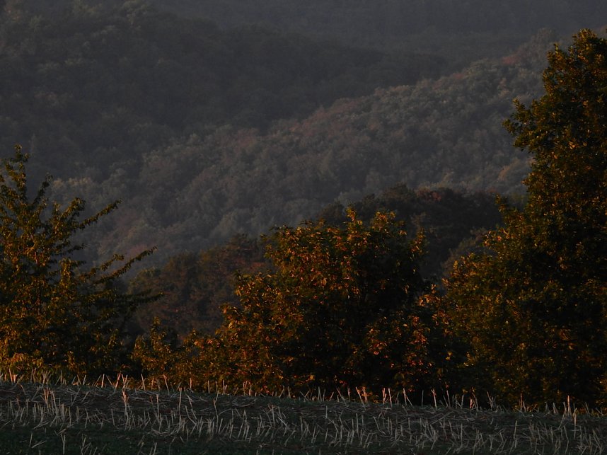 Sonnenuntergang &uuml;ber dem S&uuml;dharz
